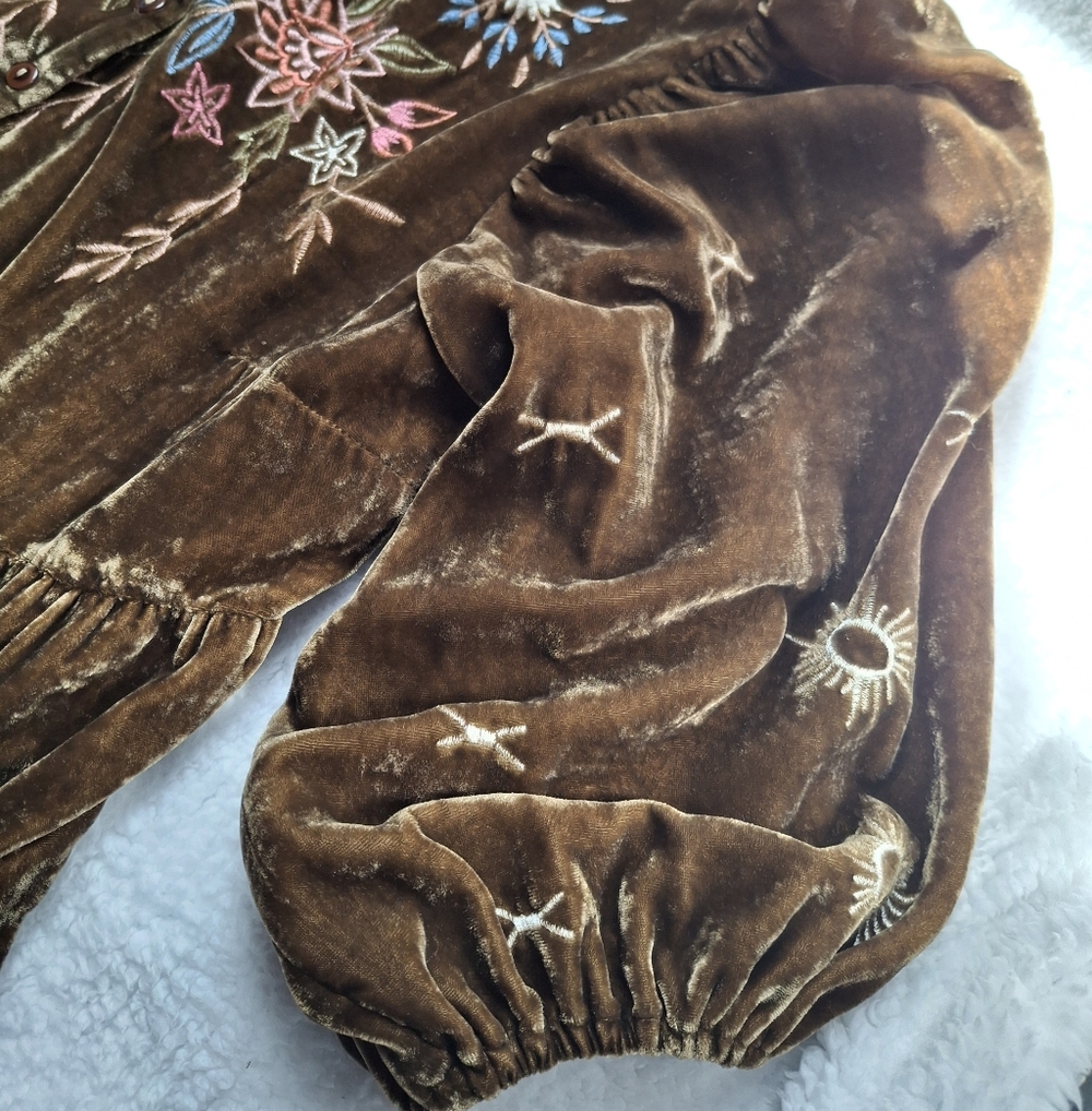 Wayward Fancies Collared Floral Embroidered Velvet Dress- Size In Description - Picture 7 of 16